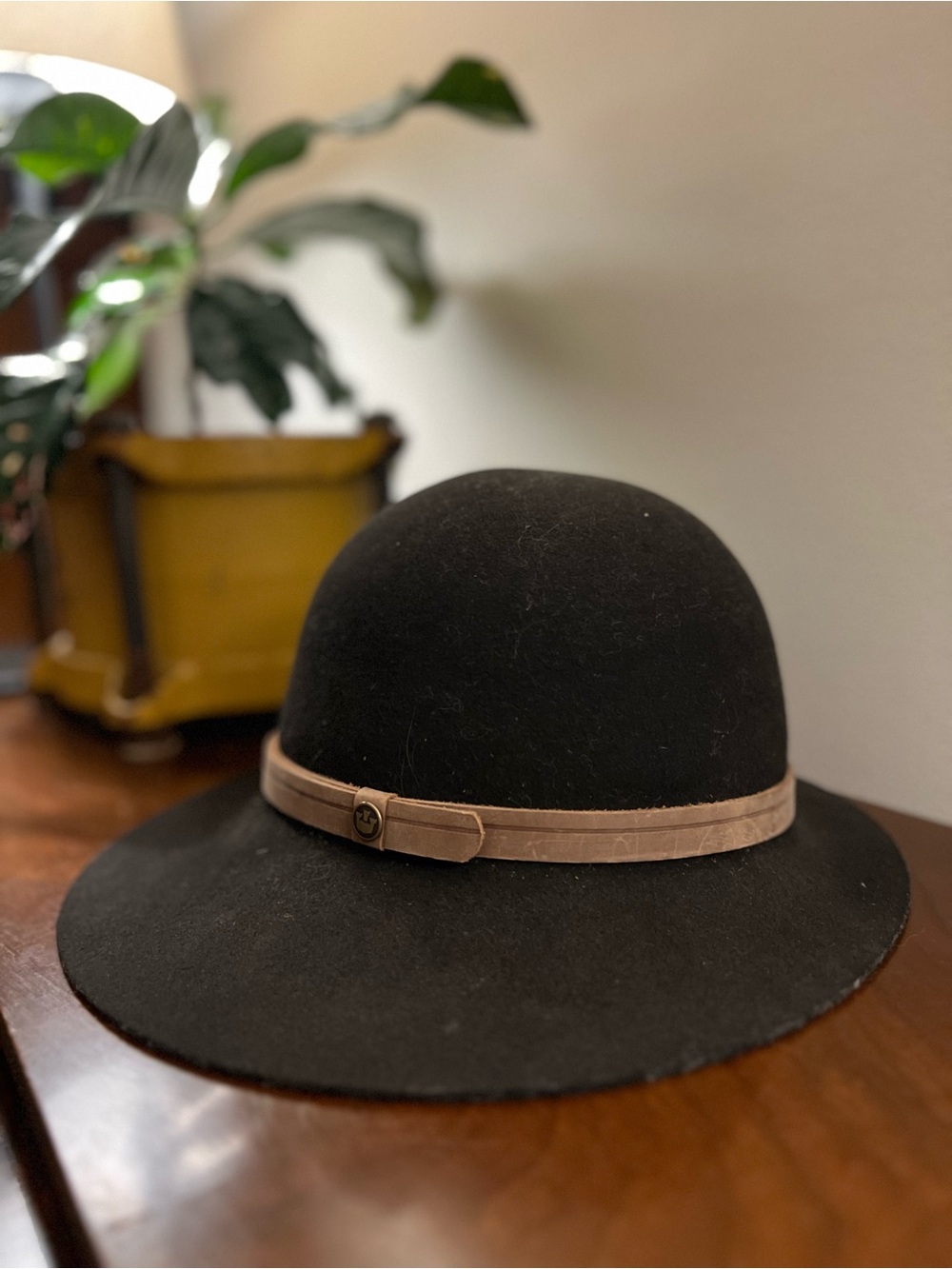 Goorin Bros. Brown Wide-Brim Felt Hat with Leather Band